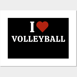 I love Volleyball Posters and Art